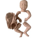 18 인치 이미 완료 된 페인트 다시 태어난 인형 부품 Delilah  비닐 액세서리 Diy 장난감 : 케이이인터네셔널