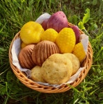 대두 구황작물빵(감자빵 고구마빵외 4종)식사대용 아이간식 단체주문 선물세트 90g 15개입 : 지노떡빵