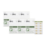 웰씨드 밀크씨슬B 세트(6개월분) 간 건강. 하루 활력 에너지 충전 : 엔젤퀸우먼