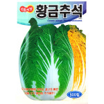 황금추석배추씨앗 500립발송 25년포장 : 제일농약사