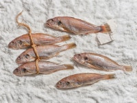 제주반했어 제주 손질 저염 반건조 제수용 백조기 : 제주반했어