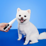 우다다 강아지 고양이 미니 클리퍼 애견 미용 발바닥 바리깡 이발기 : WODADA