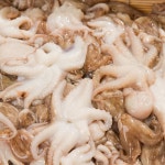 냉동 쭈꾸미 자연산 200g 4마리 : 한 젓가락