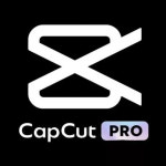 캡컷 프로 개인 연간구독권 12개월 CapCut Pro 이용권 구독 : 카브넌