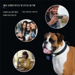 강아지 액션캠 고양이 바디캠 카메라 반려견 cctv 관찰 검정색+전용 목걸이 64G : 내슈빌