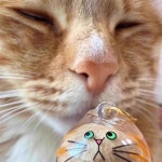 고양이 털 강아지 가챠 정품 투명 털 수납함 보관 캡슐 : Newplan