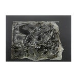 라다넘 수지 Labdanum Resin Cistus Ladaniferus 100g : 주식회사 바이어브릿지
