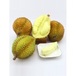 두리안 모형 장식 가게 켤레 진열장 꾸미기 중간 조각 오렌지 고구마 매장 두리안 반개 하나 : 트렌디어원
