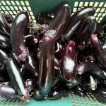 국내산 가지 여주 동원농장 못난이 금보라가지 5kg, 1개 : 여주동원농장