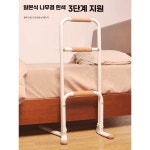 노인 임신부 착석 노약자 침대 환자 기상 변기 손잡이 보조 지지대 제품 소파 1. 회색 일본식 보조기 : theruri