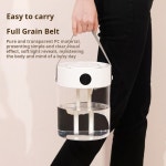 1PCS 3L 상단 디스플레이 이중 디지털 T20 조명 7색 충전 스마트 스프레이 Standard T21 USB : 예나42