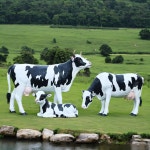 젖소모형 야외 목장 대형 공원 장식 체험장 소형 농장 젖소 B타입 젖소 : 소날국제유통