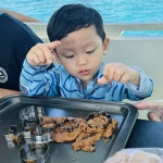 보홀 호핑투어 발리카삭 스노클링 돌고래 거북이 자유여행 한국인가이드 럭키호핑 : 럭키투어 LUCKY