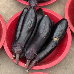 [광양시 배달] 영양가득 싱싱한 가지 5개 [광양5일장 기운찬협동조합] : 동네시장 장보기