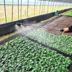 쎈다이 20L SDL-2000 자동분무기 전동 농약분무기 고압 방역 살포기 충전식 압축 : 코코주말농장