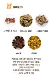 롱런하개 대형견 강아지 변비 유산균 설사 애견 반려견 유산균 구강 30포 : 롱런하개