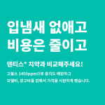 닥터텅스 스마트 치실 치간 어금니 치실 치아 관리 색상랜덤 : 무진상회