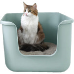 ONEKOSAMA 오네코사마 화장실 민트 : 유로블러바드