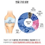 관절 연골에존 소연골 뮤코다당단백 콘드로이친 1500 플러스K 120정 2개월분 관절영양제 : 리스토어라이프