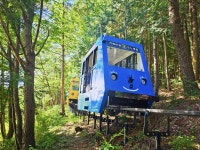 5색남도 체험로드! 남해안 2박3일 기차패키지여행 순천·여수·하동·거제도 : 홍익여행사