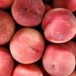 정담 올여름 첫 복숭아 납작 복숭아 말랑이 딱딱이 백도 황도 : 정담한끼