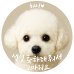 애견 답례 스티커 감성 생일 답례 반려견 스티커 화이트 : 샤로운공방