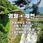 28-1번 영월 한반도 지형 + 장릉 + 서부시장 + 제천 의림지 지자체지원 당일여행 : 여행스케치여행사