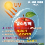 명전바이오 사과일소피해 예방 수용성규산염 일소방패500ml 25말용 : 진농마트