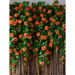 장미넝쿨 조화 가랜드 천장 라이트핑크 넝쿨 장미넝쿨조화 안뜰 화단 인조넝쿨 인공 마리아 마리아 로즈 한 송이 로즈핑크 : 디스이즈바이