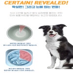 당진프리덤 각인 비만방지 급체방지 그릇 강아지 고양이 슬로우식기 동물병원 판촉물 홍보 사은 : 당진프리덤