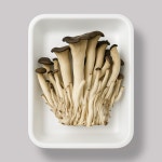 참느타리(작은 느타리) 100g : MARKET990