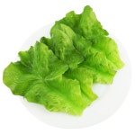 DOYIFUN 5pc 가짜 상추 잎 인공 채소 가정용 주방 파티 펍 장식 캐비닛 테이블 디스플레이 슈퍼마켓 사진 : 스마트이지상회