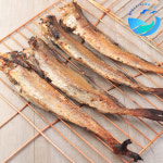 국내가공 반건조 두절 노가리 15cm내외 : 바다씨쌀롱