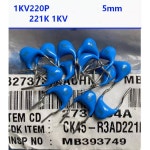RR 221K 1KV 220P 5MM 471K 470P 221J 220PF 10 : 핸디아이템