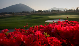 엘리시안강촌cc 1박2일 서울근교 춘천골프장 패키지 : 자이언트골프 국내해외예약