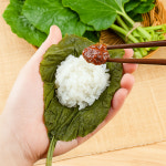 제철나물 쌈밥 쌈나물 달래 냉이 궁채 궁채잎 건나물 도라지 깻잎순 깻순 나물 토종 호박잎 : 열정농부