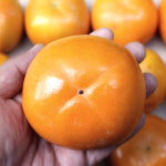 단감 진영 고당도 부유 5kg 10kg 태추 차량 창원 : 로컬브로