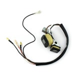 ET950 ET650 450W 1000W 650W TG950 마그네토 800W IE45 점화기 950 자동 발전기용 스트로크 코일 점화 as show : 미쏘사