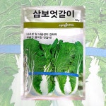 삼보엇갈이 씨앗 30g 24년포장 엇갈이 배추 종자 : 씨앗하우스