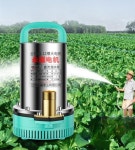 12V  DC 고출력 수중 펌프 소형 가정용  주말농장 양수기 12V 300W-1인치-5m : 일하는 빈트로