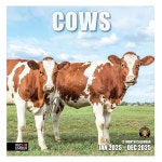 레드 엠버 소 2025 | 2025 종이 월 12개월 x 가능 | 캘린더 12인치 24인치 오픈 캘린더 | | 튼튼한 선물 두껍고 3 04 - Cows New 2025... 