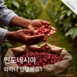 인도네시아 와하나 만델링 G1 200g : 케빈커피