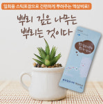 식물영양제 뿌리깊은나무 비료 화분화초꽃나무 12ea : 디어그린