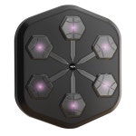 리듬 복싱 , 연소, 벽 설치, 스포츠 기계, 음악 : 트윈커머스