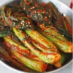 여수농협 여수돌산 갓김치 5kg : ch8go