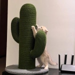 선인장 캣타워 스크래처 대형 스크래치 고양이 놀이터 그린선인장 40x80cm : 오렌지밀리