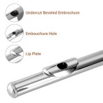 세실리오 폐쇄 홀 C 플루트 - 악기 밴드 앤 오케스트라의 초급/중급 니켈 : 테이트샵