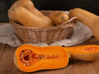 제주 땅콩호박 버터넛스쿼시 5kg,8kg,3kg : 흙내음 이야기