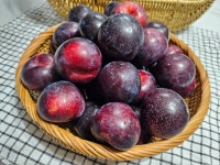 자두 철 대석자두 후무사 추희 체리  왕자두 당도보장 꿀자두 대과2kg : 오남매농장마켓