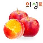 의성 햇 자두 당일수확 산지직송 대석 후무사,후무사2 도담,알프스 추희 1.75kg : 문흥 농장